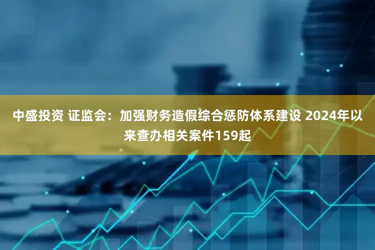 中盛投资 证监会：加强财务造假综合惩防体系建设 2024年以来查办相关案件159起